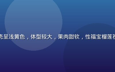 泰国金枕榴莲外壳呈浅黄色，体型较大，果肉甜软，性福宝榴莲视频金枕品种介绍